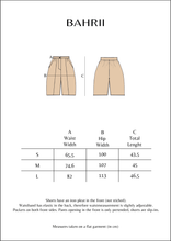 Load image into Gallery viewer, LIÓN Shorts - S